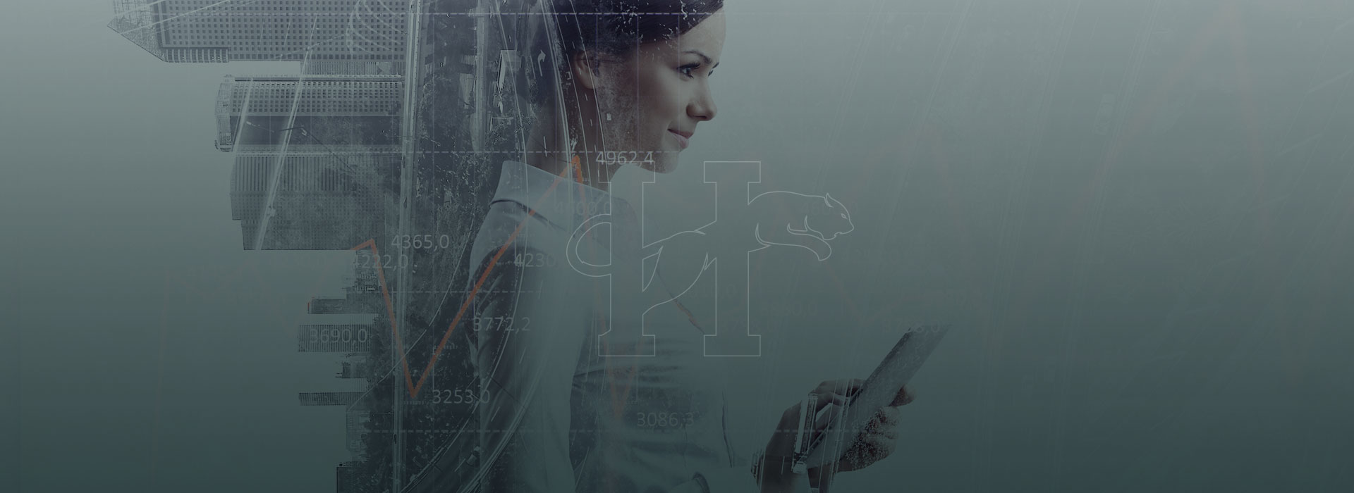 Hila Legal Despre Noi